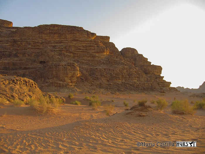 De Wadi Rum al Mar Muerto